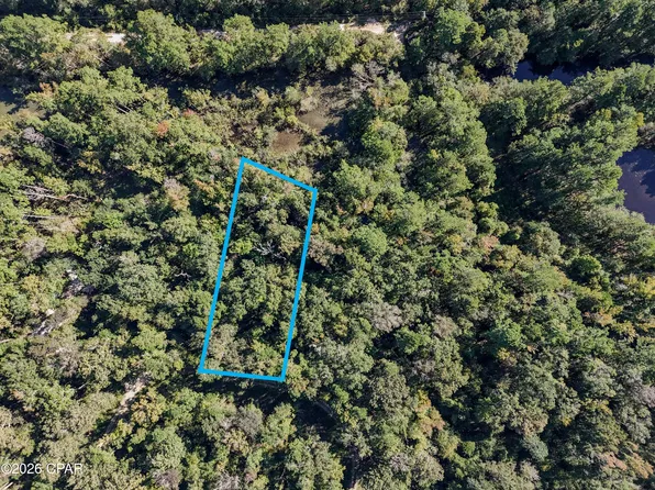 238 Riverside Cir, Wewahitchka, FL 32465