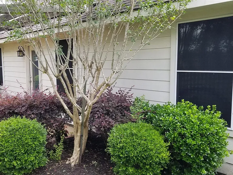 935 Rock Springs Dr — Photo 11