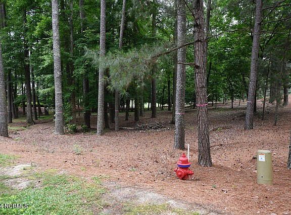 3rd image of 18 Mcmichael Drive