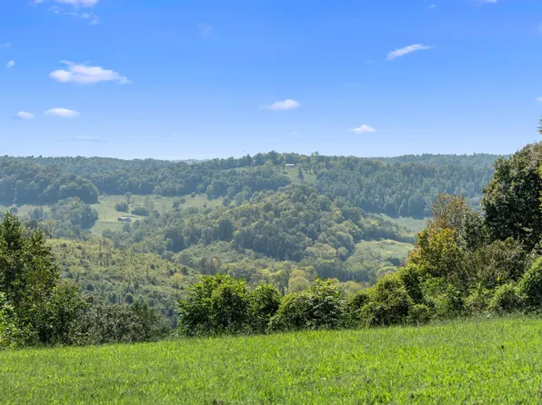 0 Beaver Ln Lot 17, Gainesboro, TN 38562