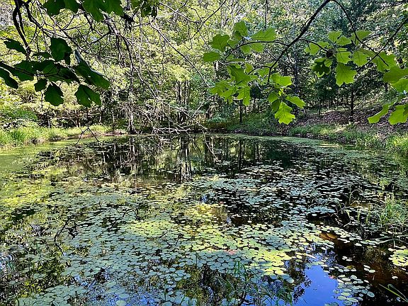 4th image of County Road 726