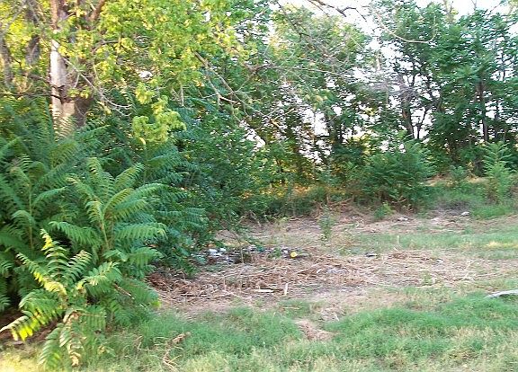 5th image of 10409 S 257 East Ave