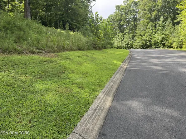 0 Cove Springs Dr Lot 11, Dandridge, TN 37725