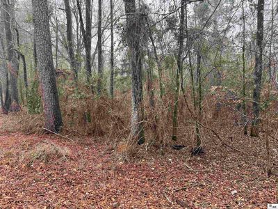 0 Weems Rd, Downsville, LA, 71234