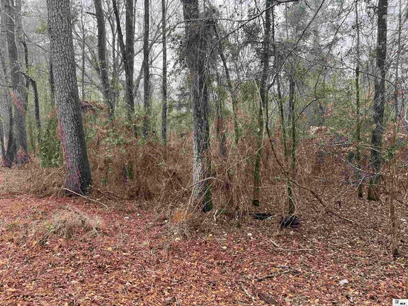 0 Weems Rd, Downsville, LA 71234