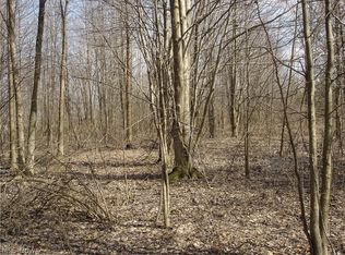 Morgan Rd, Montville, OH 44064