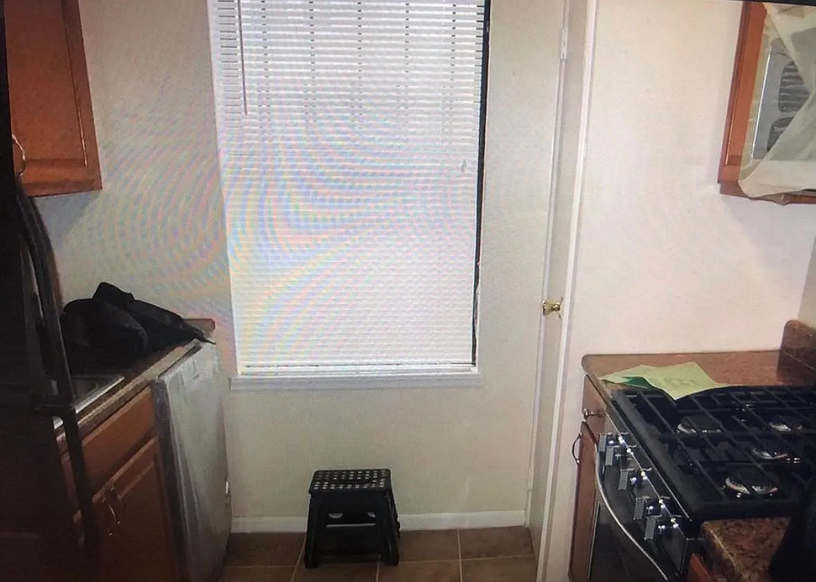 1 bed, 610 sqft, $1,200 — Photo 3