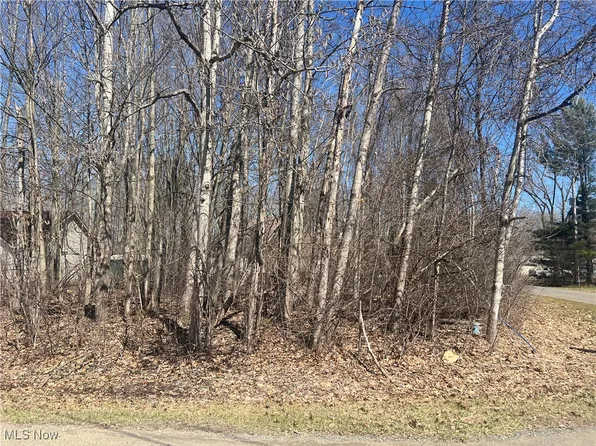 2455 Plum Creek Dr, Rock Creek, OH 44084