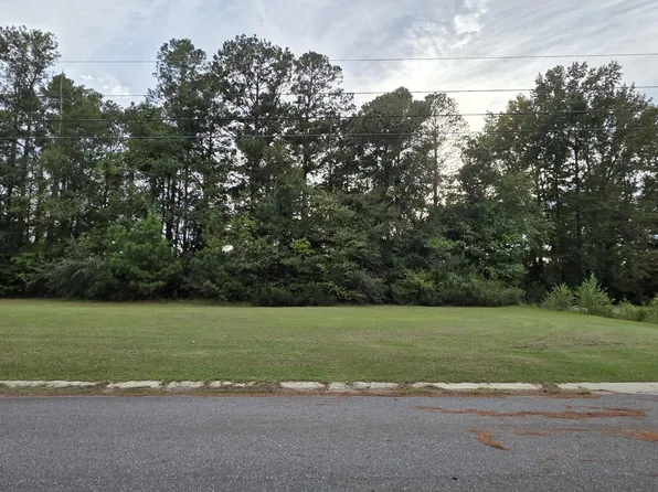 0 Birch Road, Grifton, NC 28530