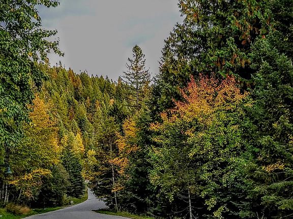 Same drive in autumn