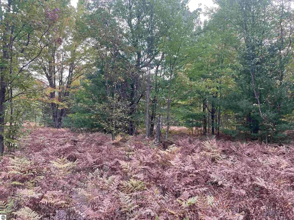 2076 Penny Ln SE, Fife Lake, MI 49633