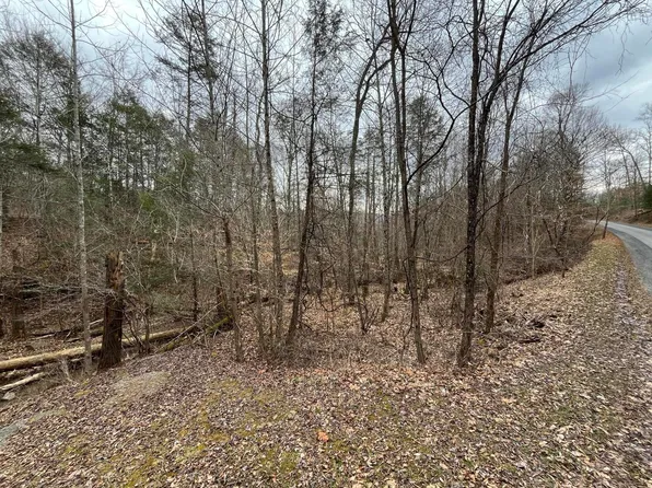 Stonehenge Parkway & Laurel Cir, Lewisburg, WV 24901