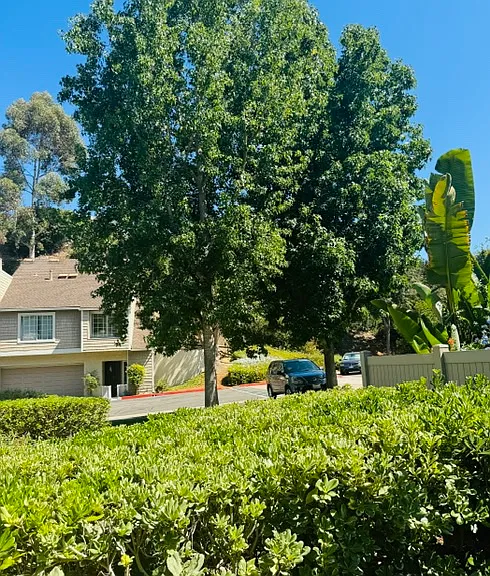 3753 Balboa Ter #D — Photo 14