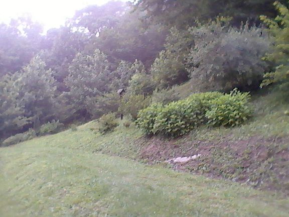 2nd image of 2693 Dante Mtn