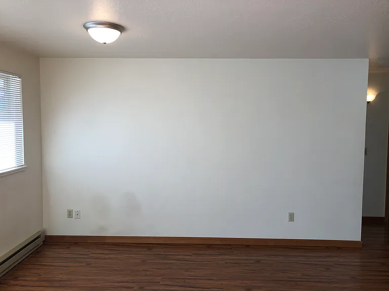 114 W Adams Ave #1 — Photo 5