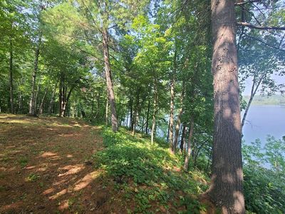 26354 Inwood Trl, Park Rapids, MN, 56470