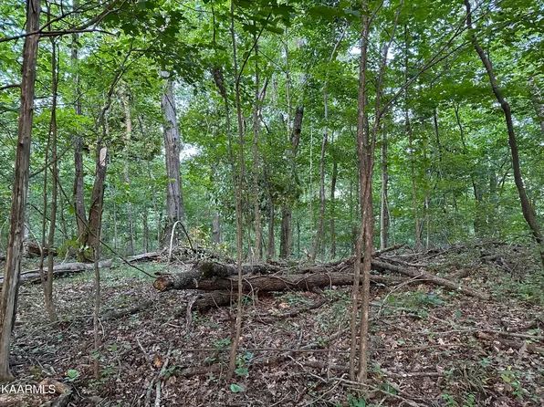 Twin Oaks Ln #135-108.00, Caryville, TN 37714