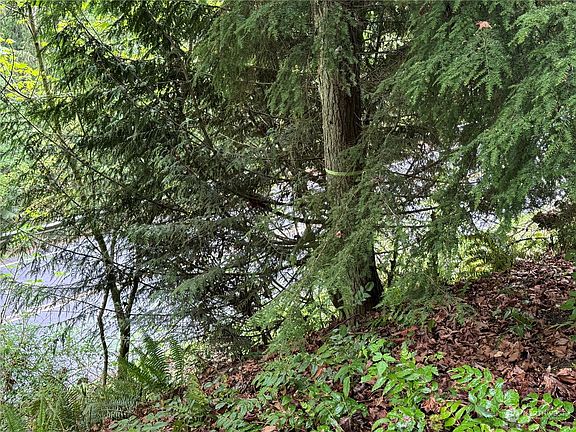 5th image of 0 Holmes Point Drive NE