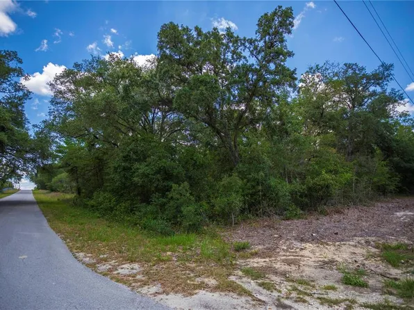 SW Winding Hills Rd Lot 22, Dunnellon, FL 34431