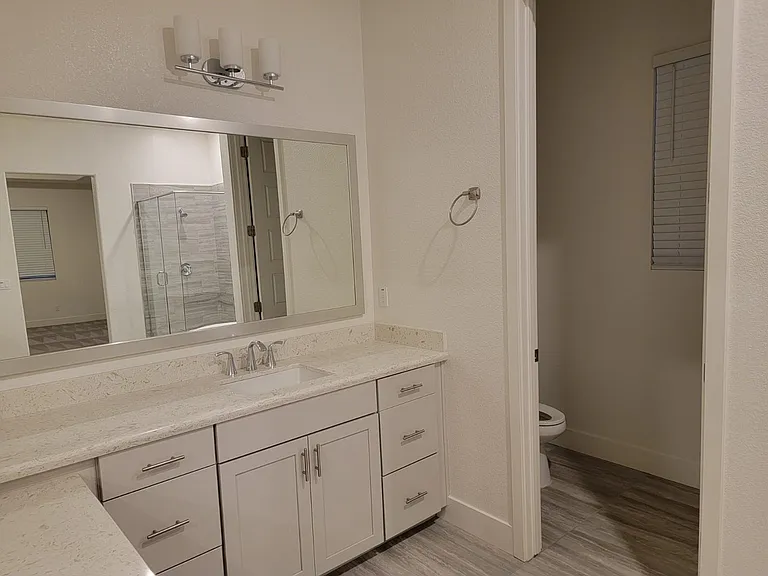 PRIMARY BATH SINK (1 of 2), VANITY & WATER CLOSET