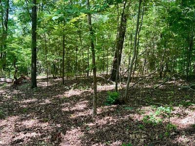 531 Fants Grove Rd, Anderson, SC, 29625