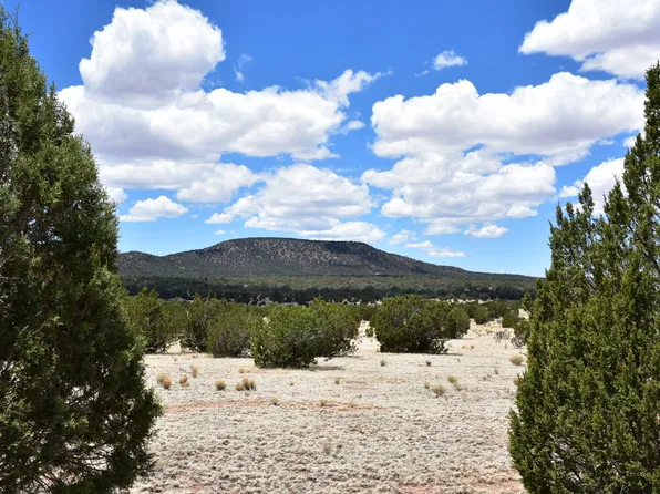 58665 N Tanque Cir, Seligman, AZ 86337