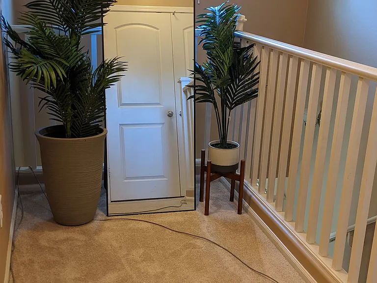7823 W Cypress St — Photo 5