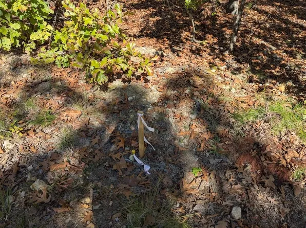 Driftwood Rd, Salem, AR 72576