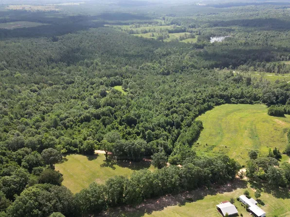 0 Rhodes Station Rd, Mc Kenzie, AL 36456