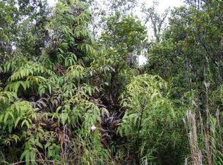 LOT 24 Lot 24, Volcano, HI 96785