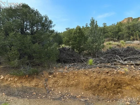 2973 Driftwood Rd, Westcliffe, CO 81252