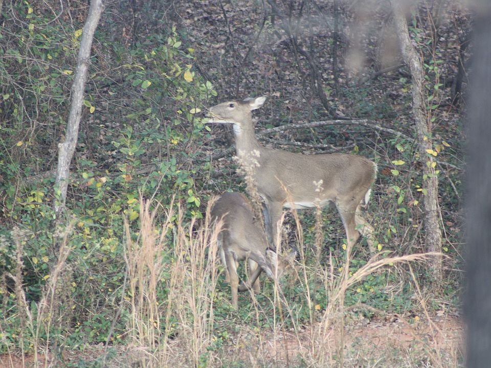 1st image of 1580 Townsend Glen