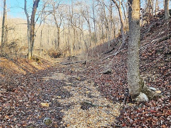 2nd image of 8 State J Rd