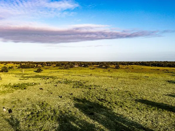 2993 County Road 320, Lexington, TX 78947