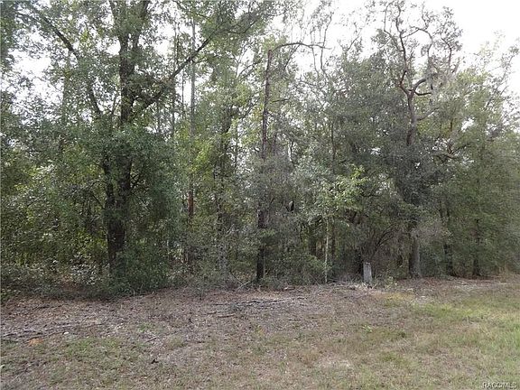 4th image of 212 E Anton Dr