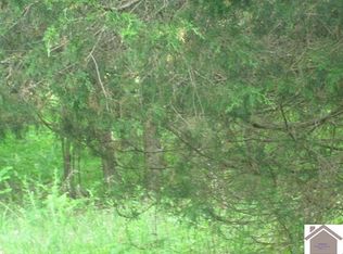 Lineport Rd, Cadiz, KY 42211