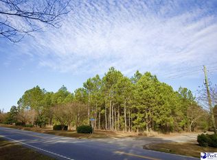 1920 Goose Pond Ln, Florence, SC 29506