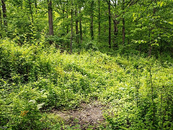 5th image of 52740 County Road 425