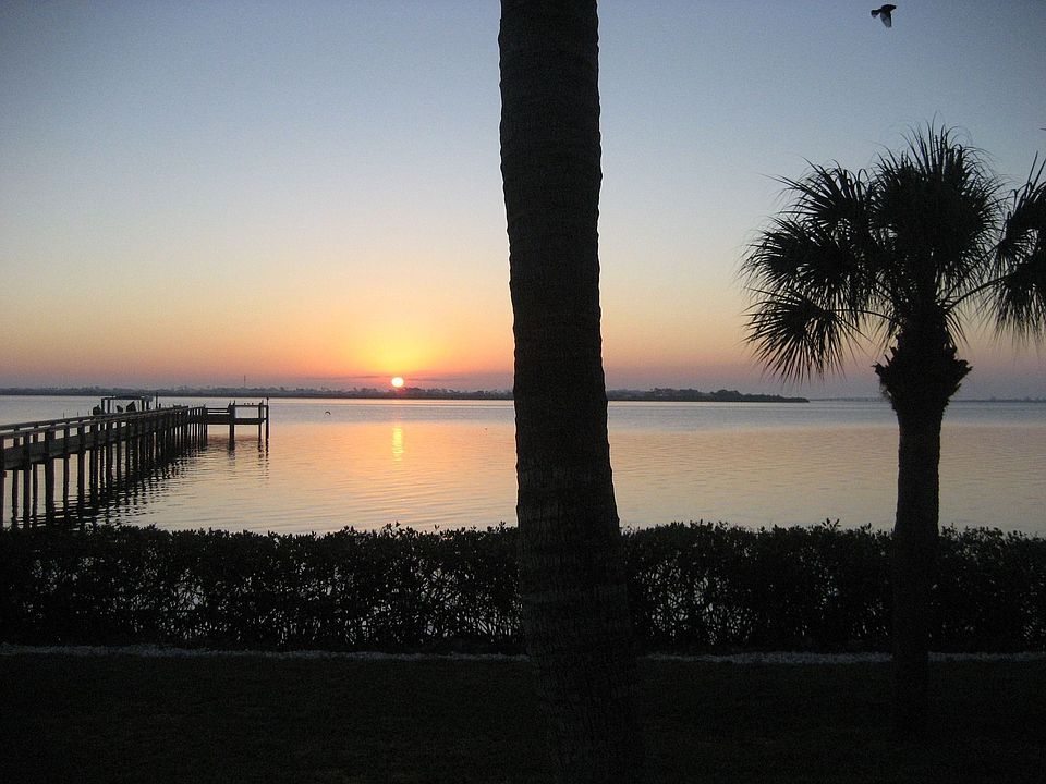 Backyard Sunrise