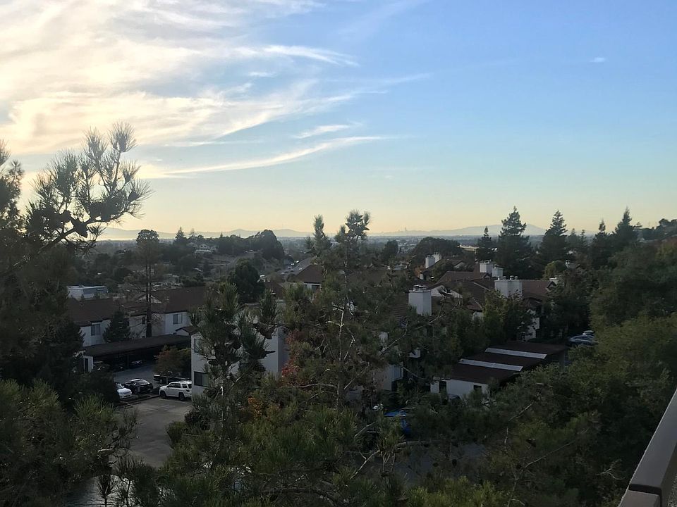 Views of the Bay.
