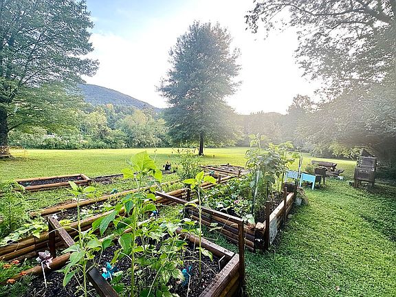 3.5 acre tract with garden