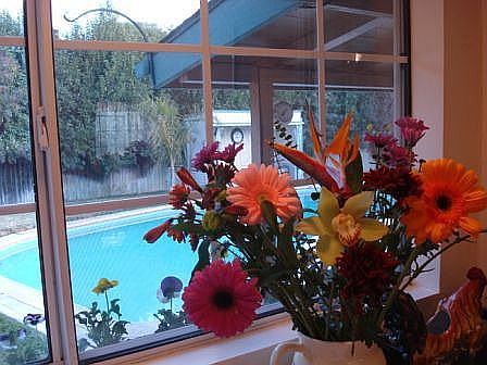 Great for Entertaining