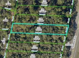 Treiman Blvd, Webster, FL 33597