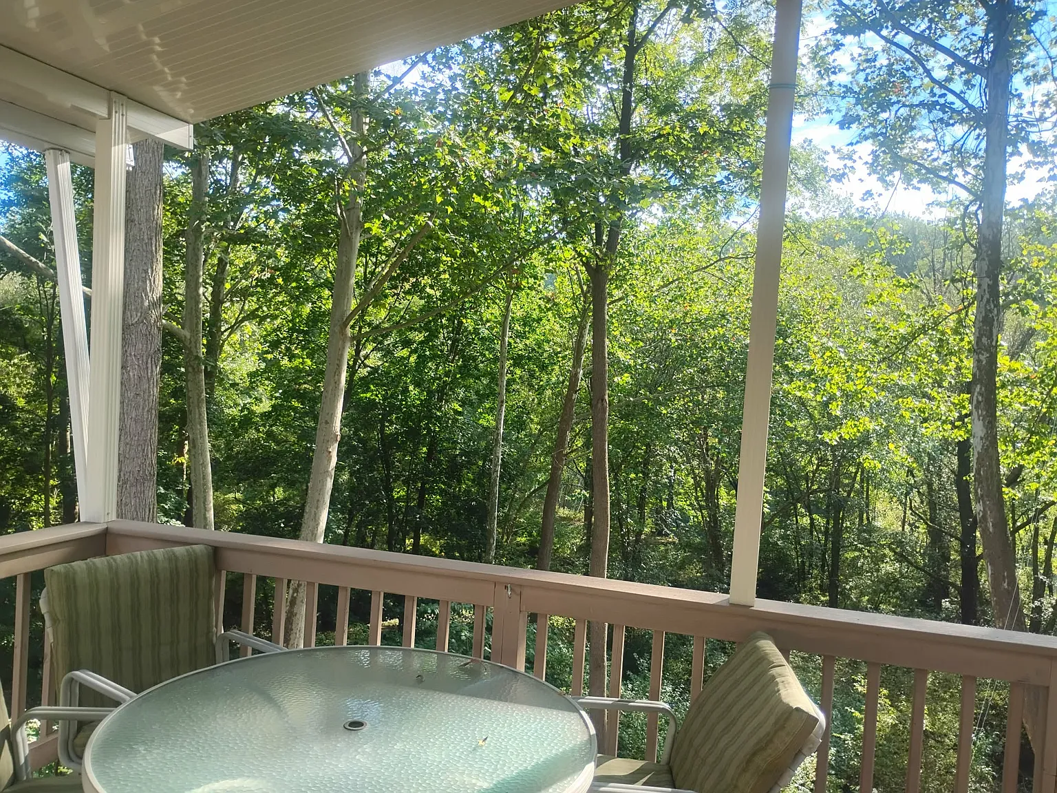 3 bed, $1,900 — Photo 4