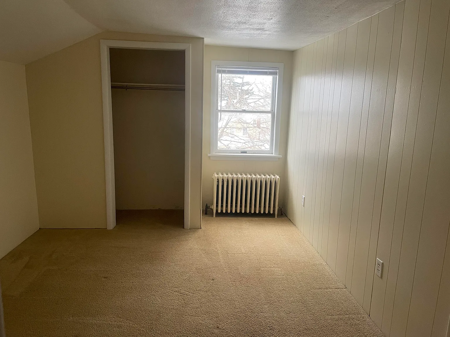 1 bed, 600 sqft, $800 — Photo 4