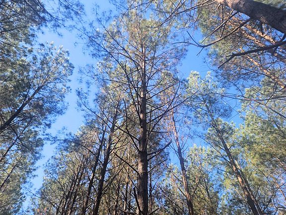 5th image of 0 Ora Rd