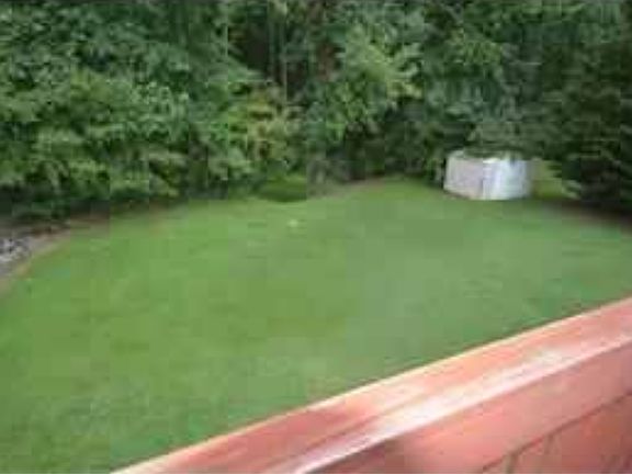 4th image of 1606 Finnsbury Dr
