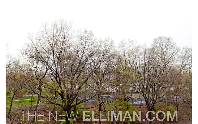 Sold by Douglas Elliman | media 43