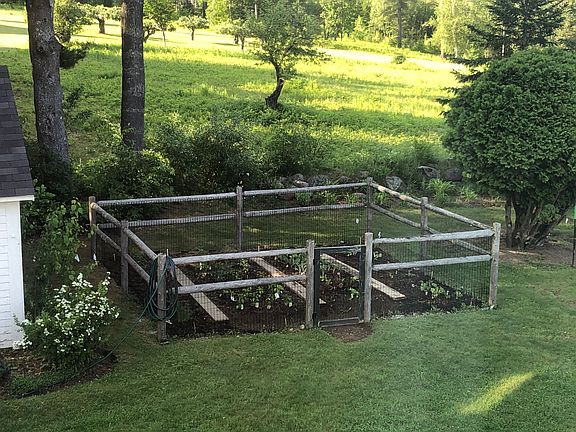 Vegetable garden 