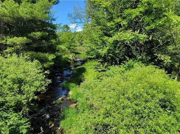 Buff Road, Cochecton, NY 12726